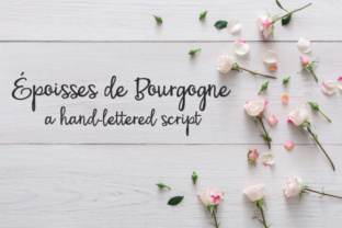 PN Époisses De Bourgogne: A Script Font That Elevates Campaigns
